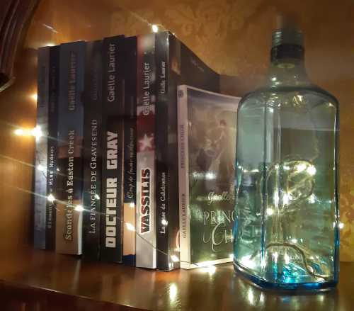 Photo réelle de son romand ans sa bibliothèque